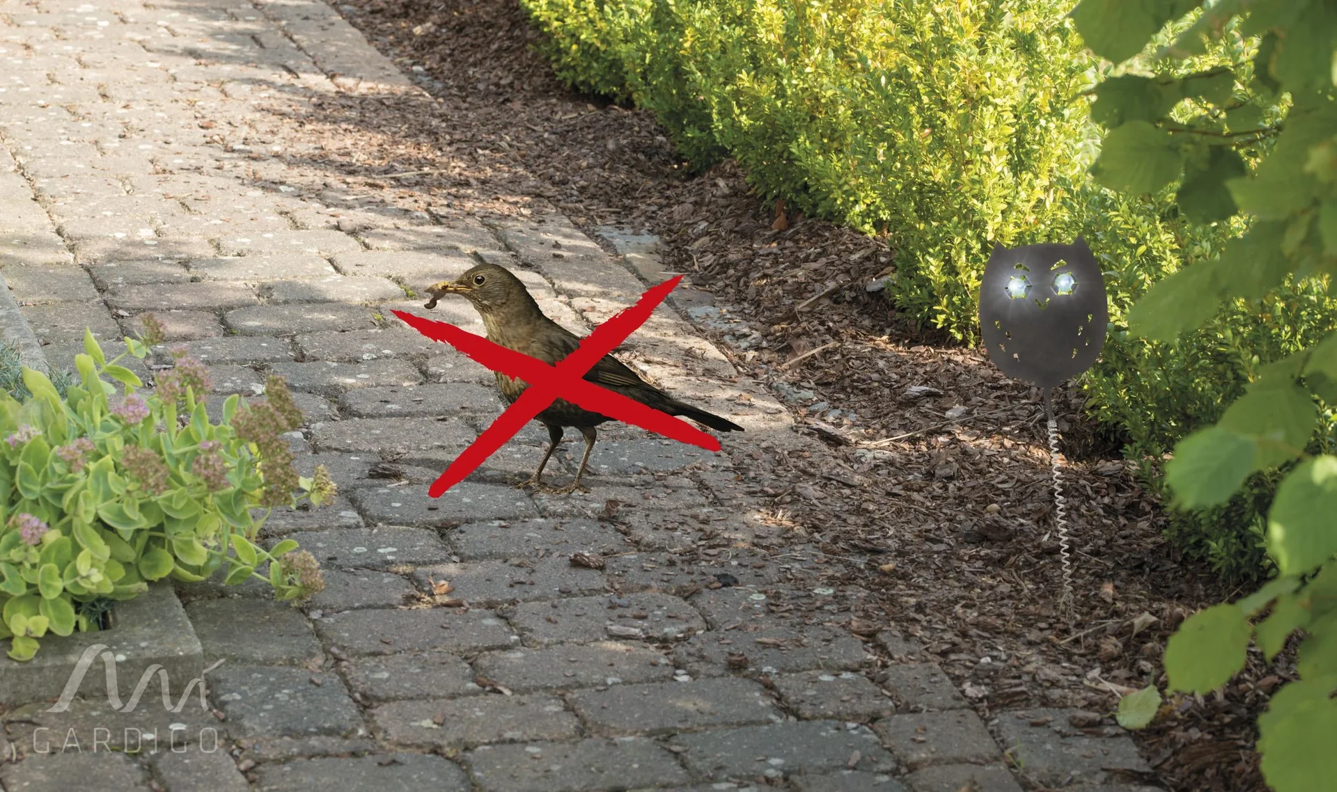 Vogelfrei Eulanda 4er Set - 4