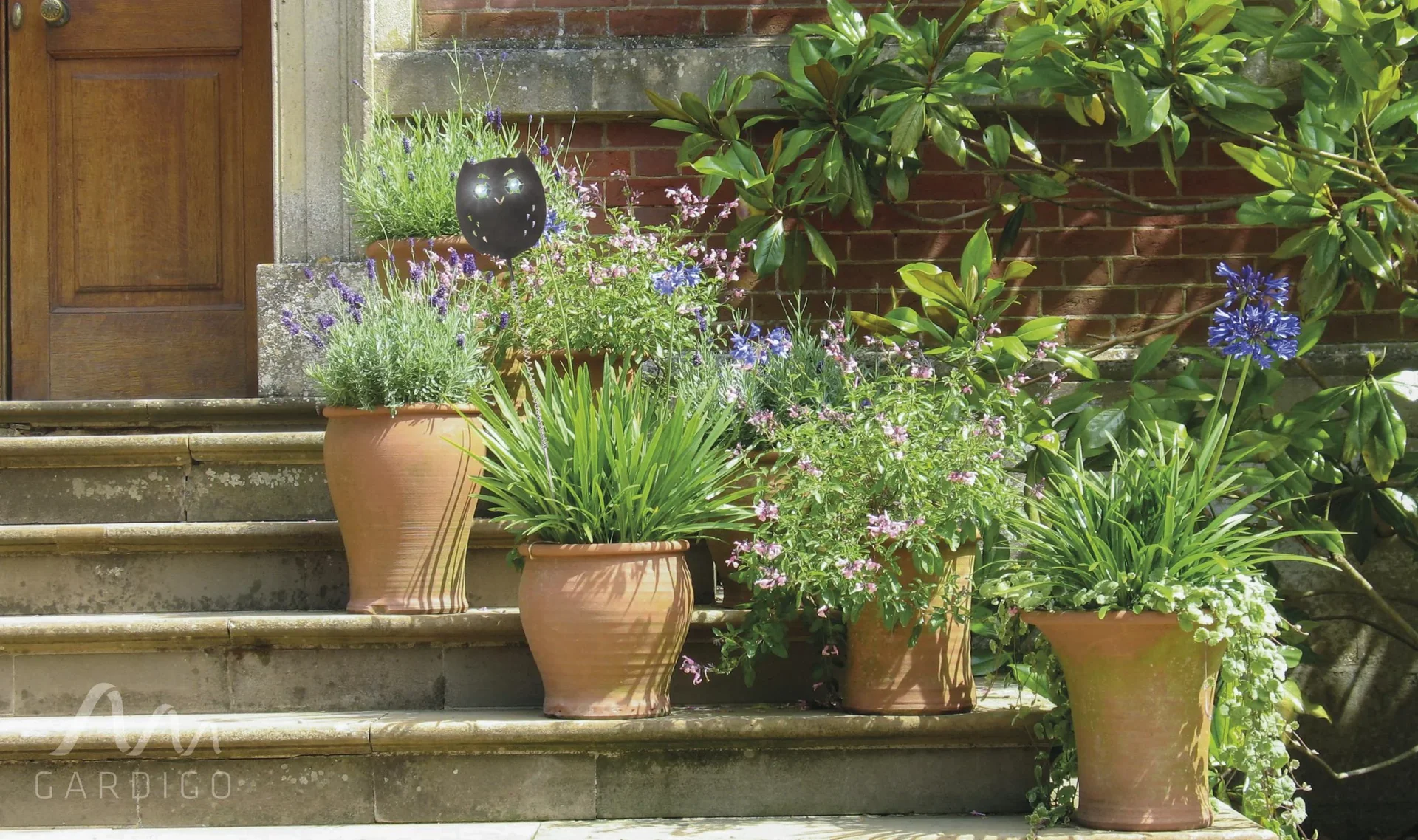 Vogelfrei Eulanda 4er Set - 11