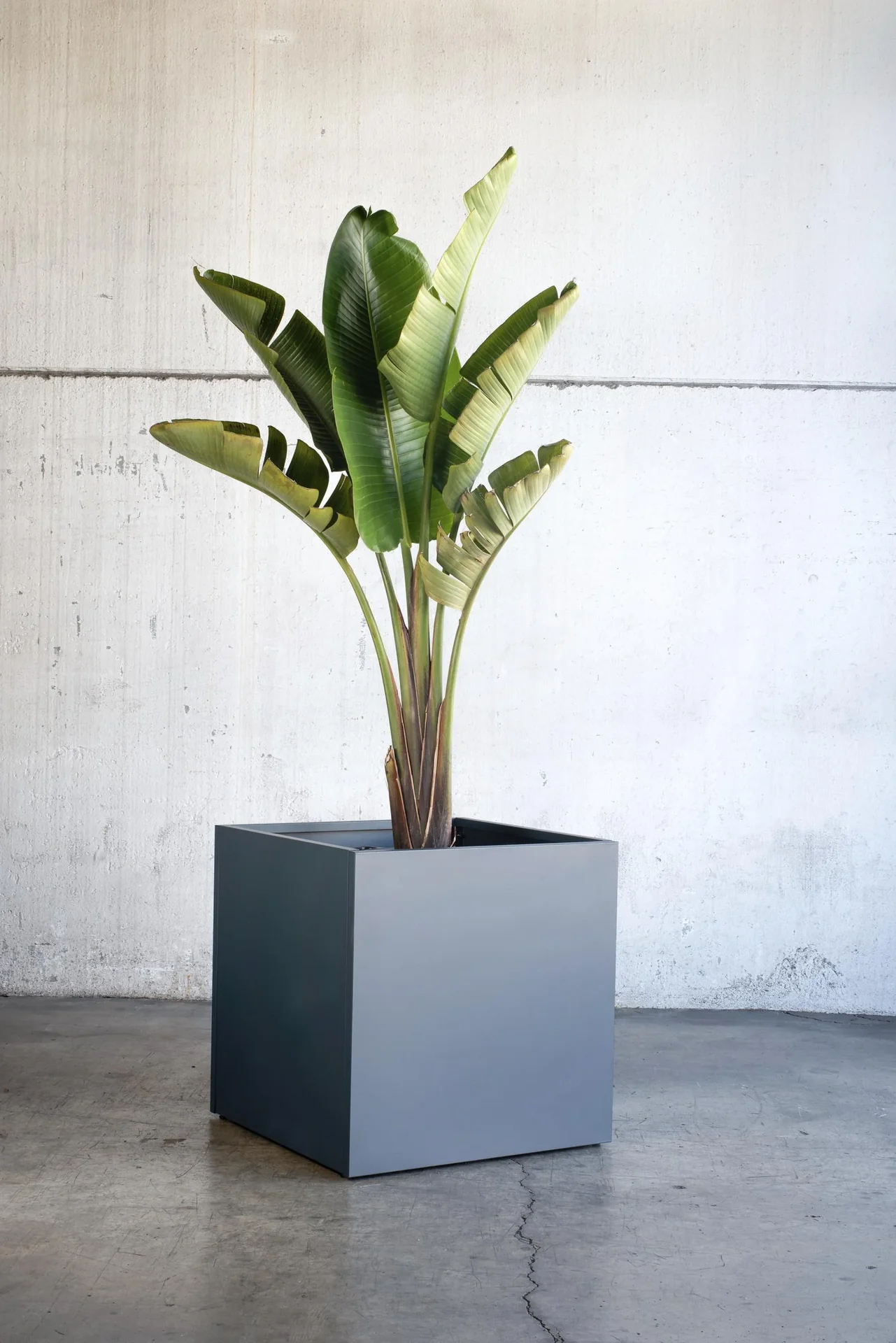 Metall Hochbeet Pflanzkasten 50x50x50 cm Anthrazit - 3