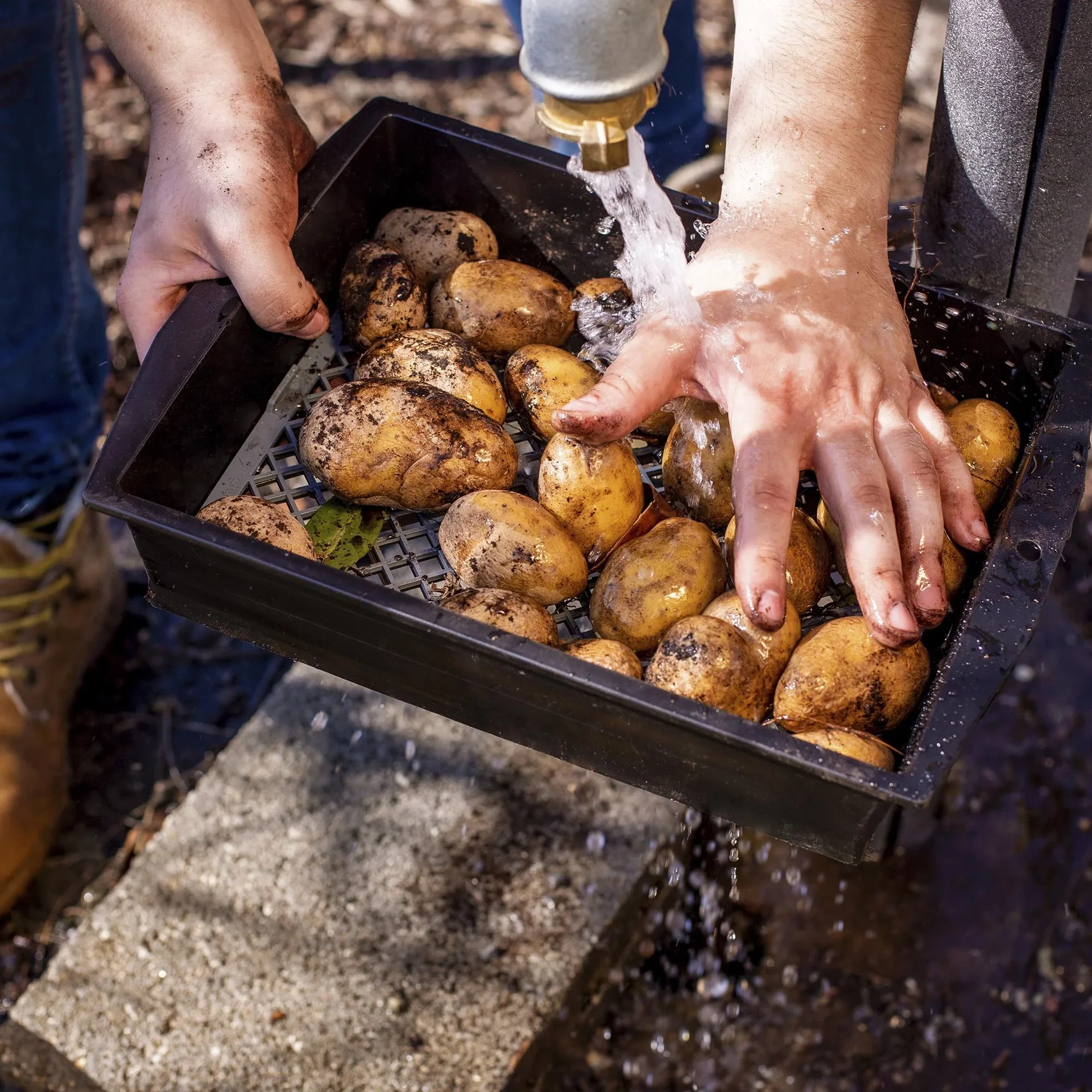 XL Gartensieb 2 in 1 anpassbar - 1