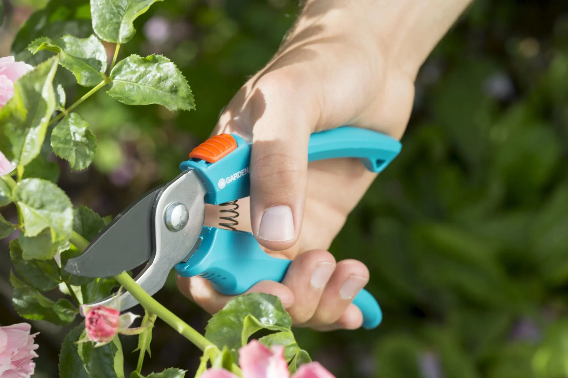 Classic Bypass-Gartenschere, maximale Schnittstärke 18 mm - 0