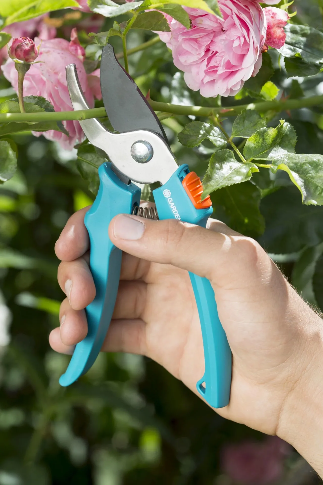 Classic Bypass-Gartenschere, maximale Schnittstärke 18 mm - 6