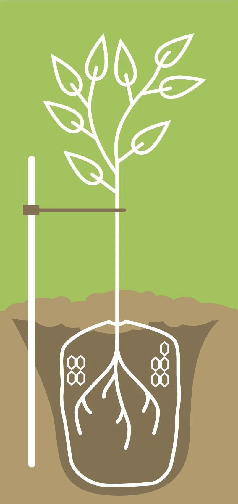 Wühlmauskorb groß - 2