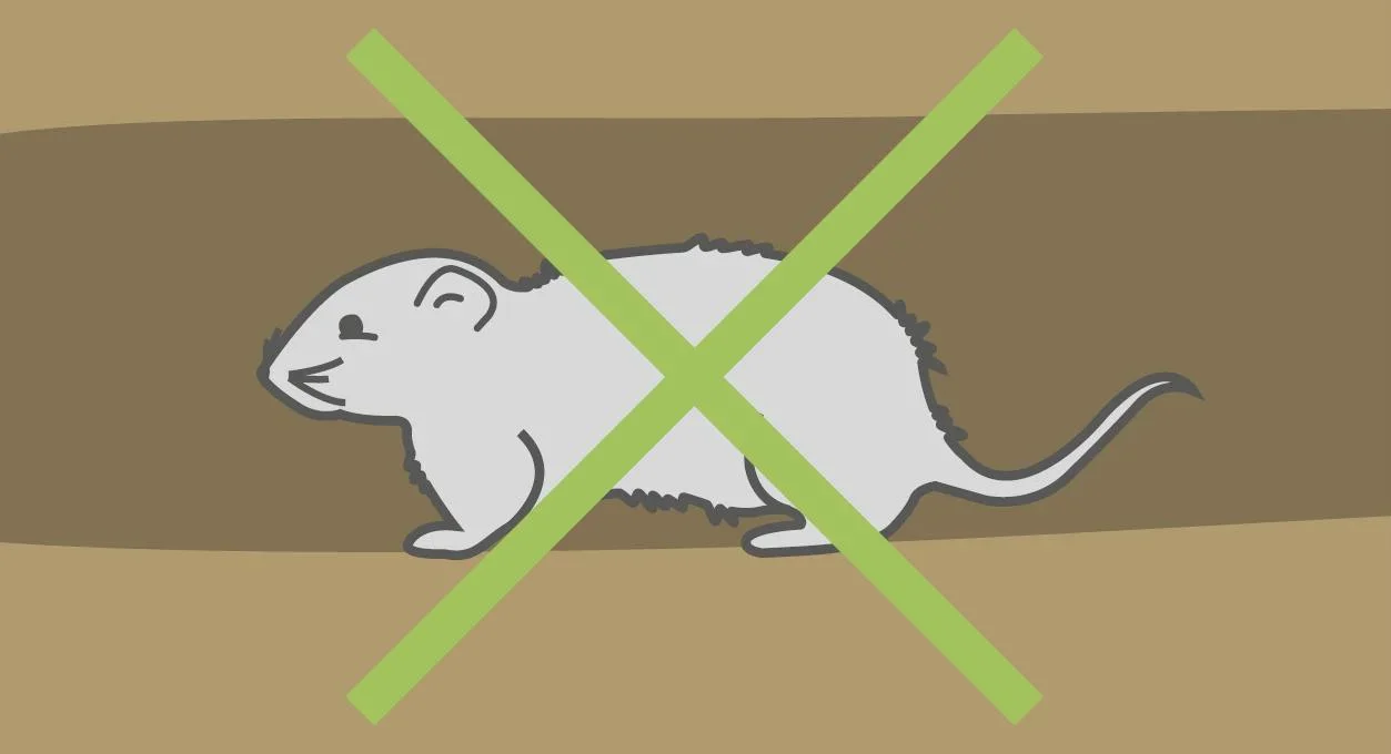 Wühlmauskorb groß - 5