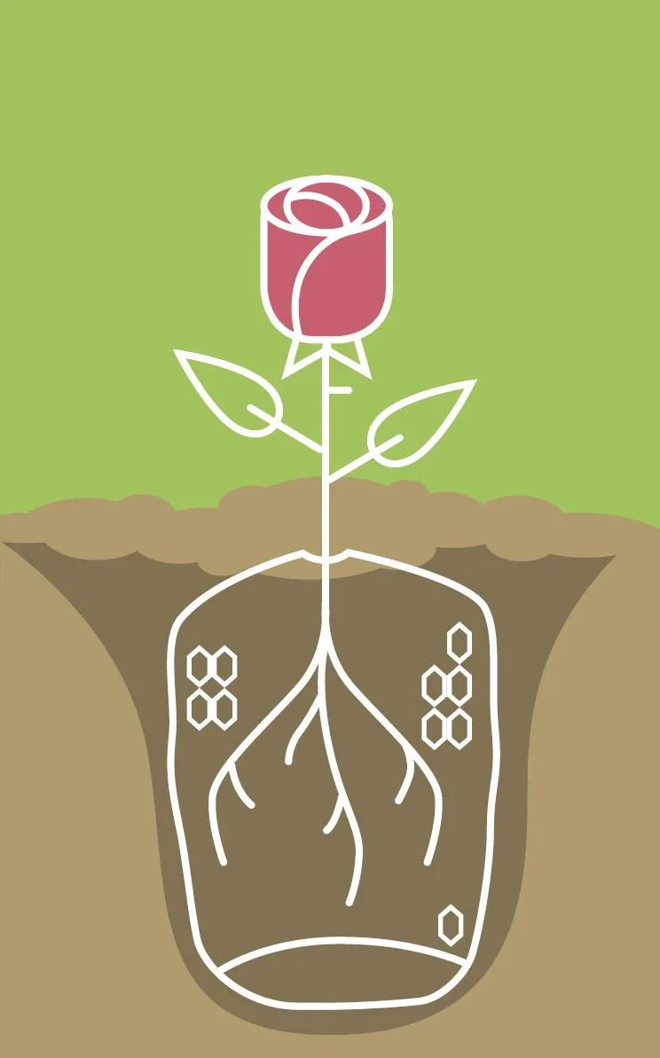 Wühlmauskorb groß - 6