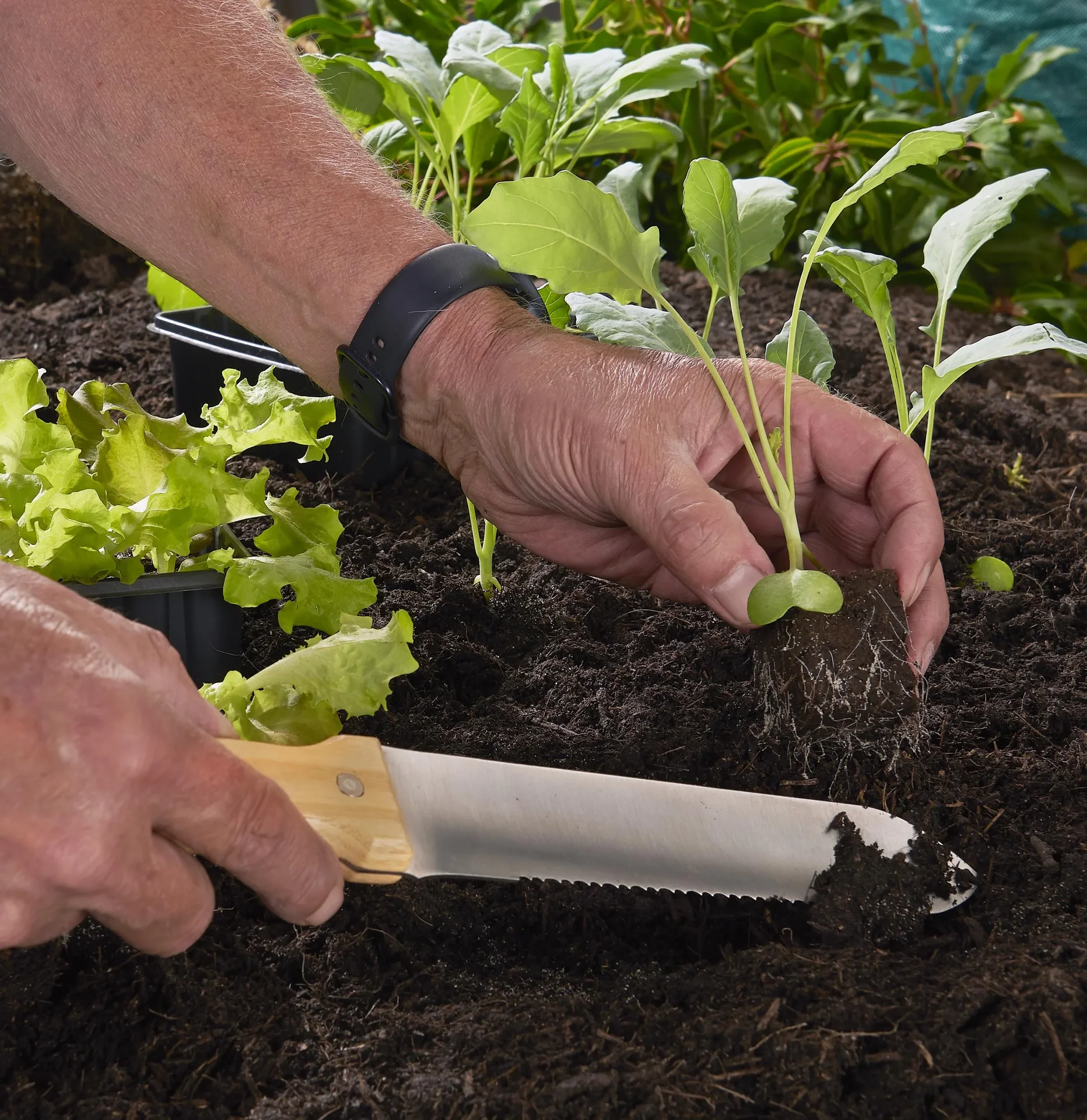 Hori-Hori Gartenmesser - 5