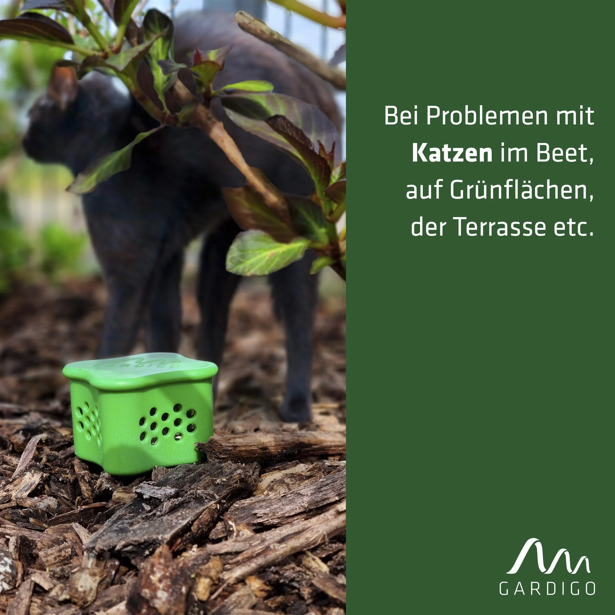 Katzenverdufter mit Beet-Stecker - 0