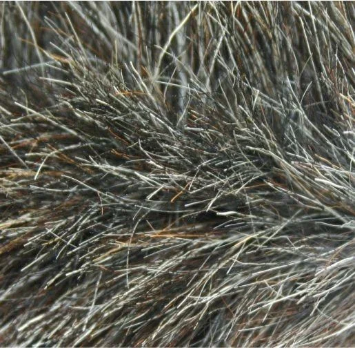 Ziegenhaar-Staubbesen mit Teleskopstiel - 6