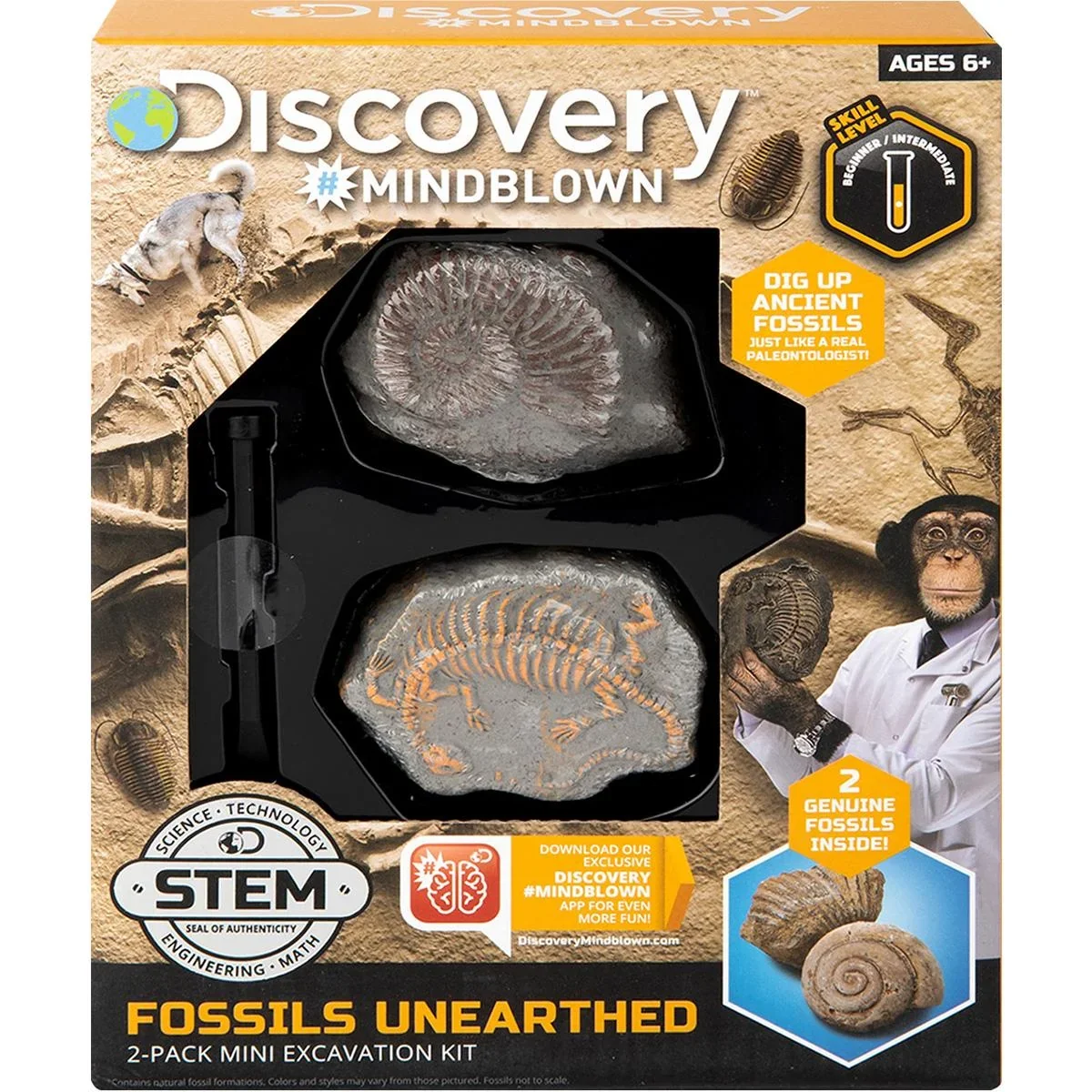 Discovery Mindblow - Fossilienausgrabung - Grabungsset - 2 Stück Archäologie - 1