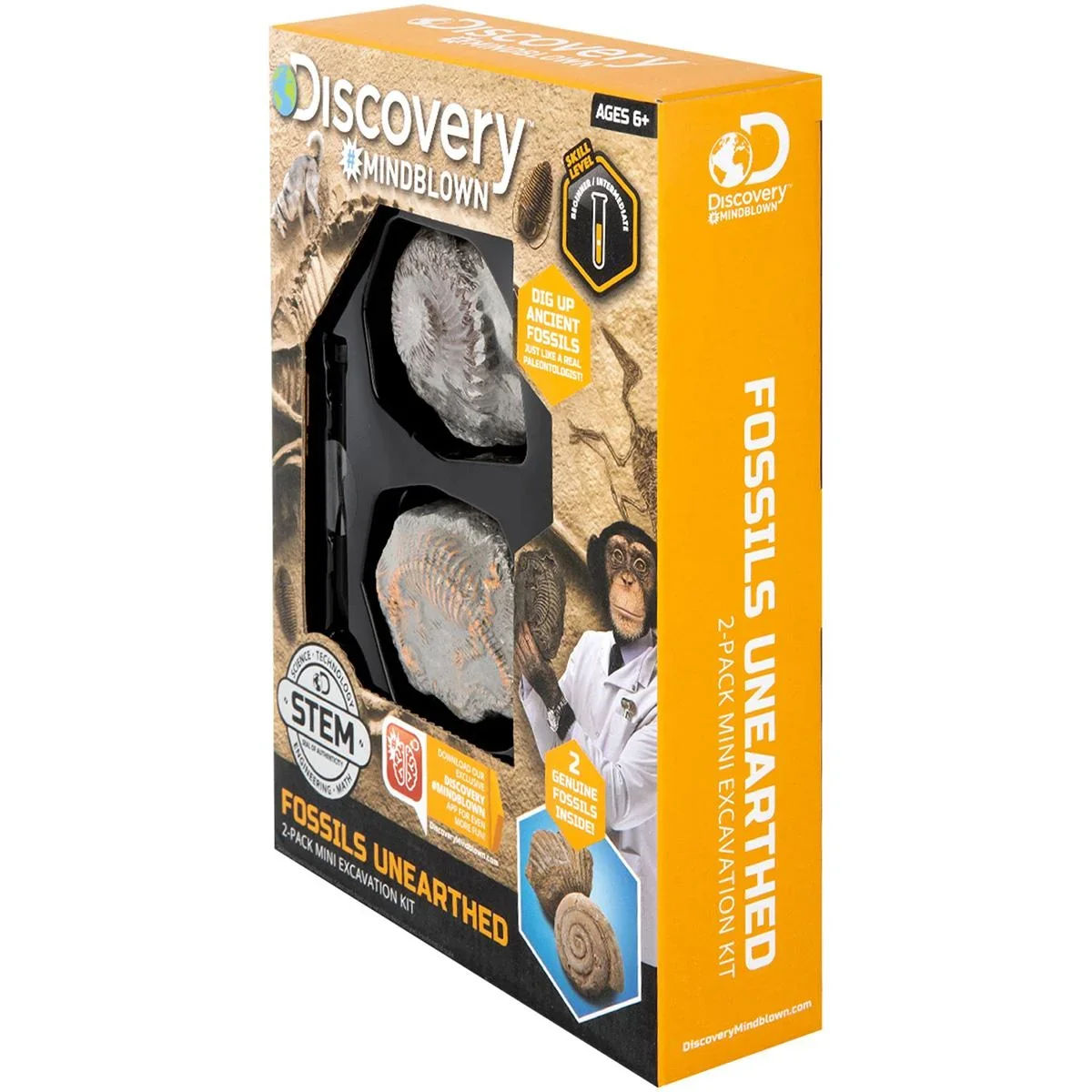 Discovery Mindblow - Fossilienausgrabung - Grabungsset - 2 Stück Archäologie - 3