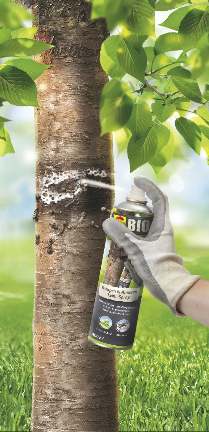 BIO Raupen & Ameisen Leim Spray - 400 ml - 0