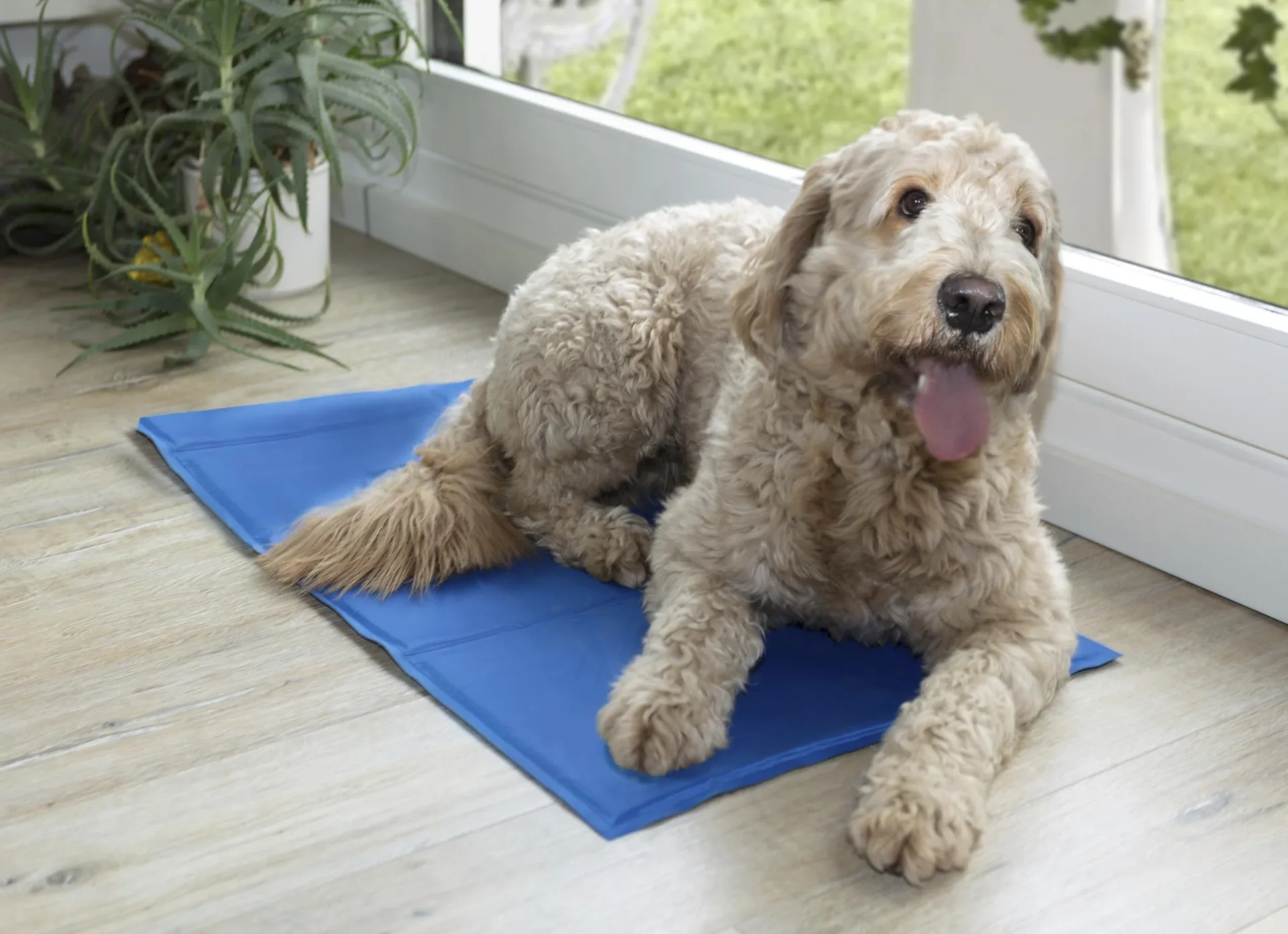 Kühlmatte "PET" 90 x 50 cm - 1