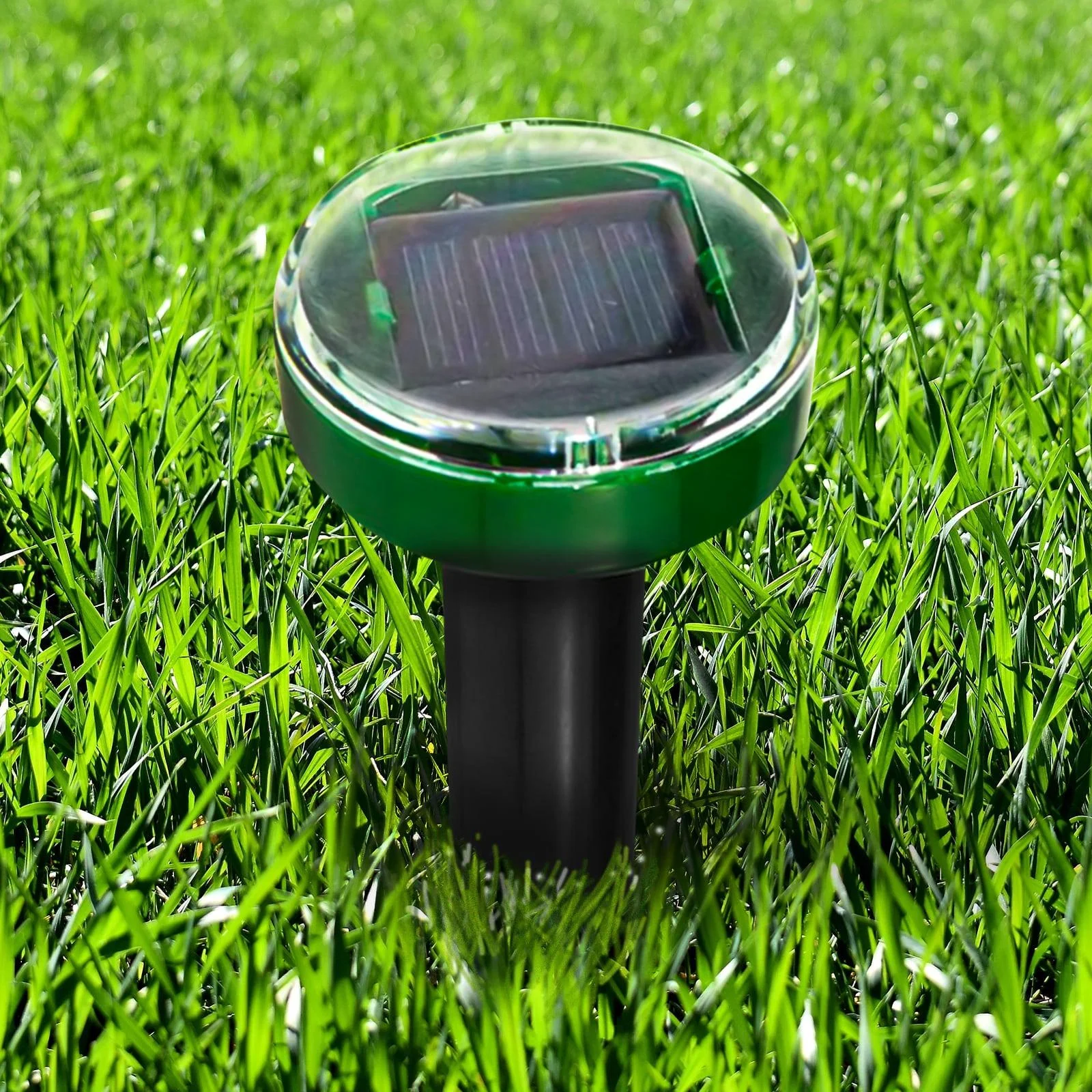 Solar-Maulwurf- und Wühlmausvertreiber, 26 cm - 2