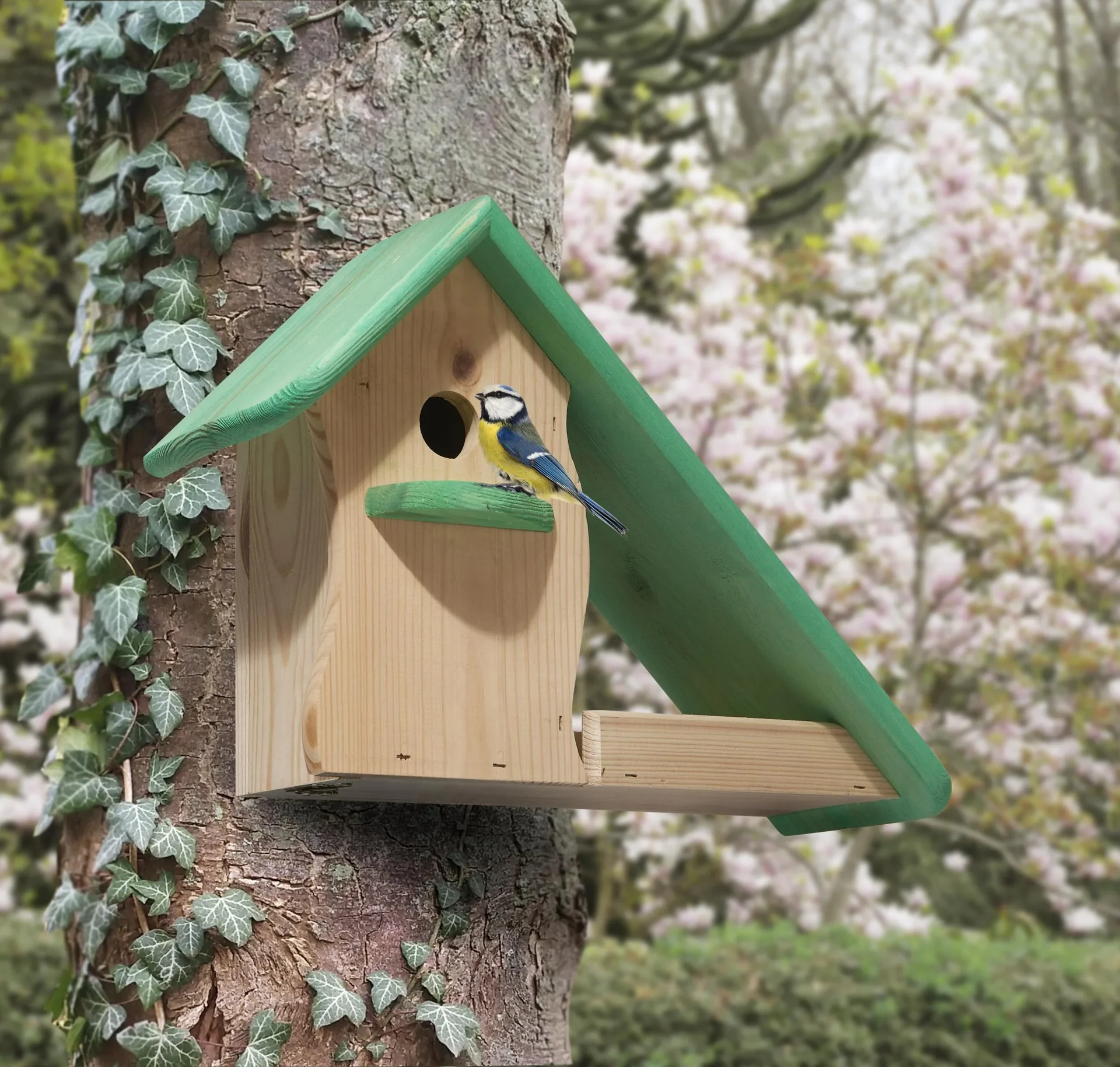 Meisenkasten "Hunsrück 2" - 1