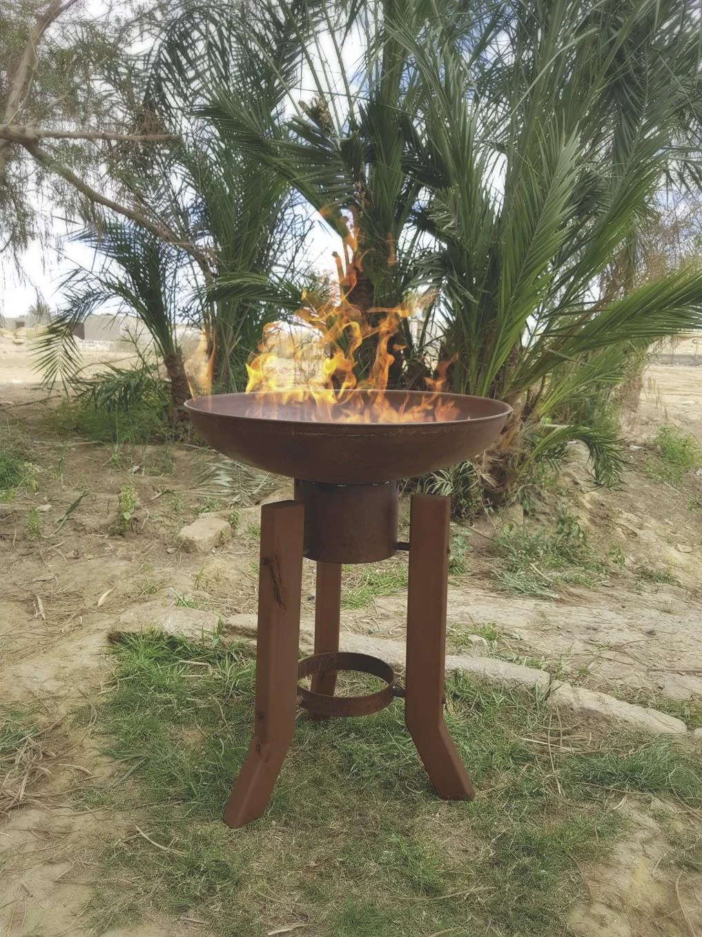 Feuerstelle Woody - 1