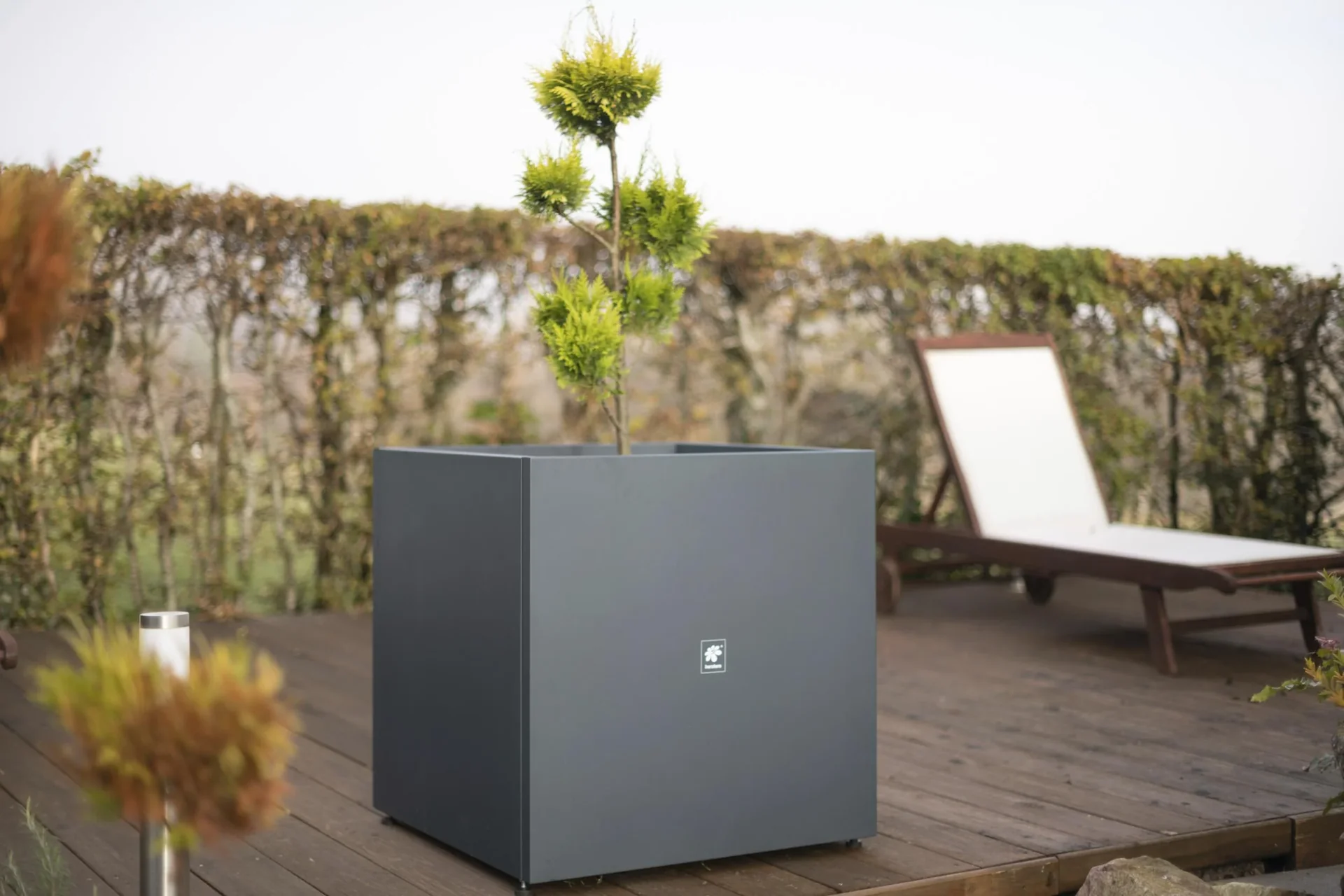 Pflanzkasten 70 x 70 x 70 anthrazit - 1