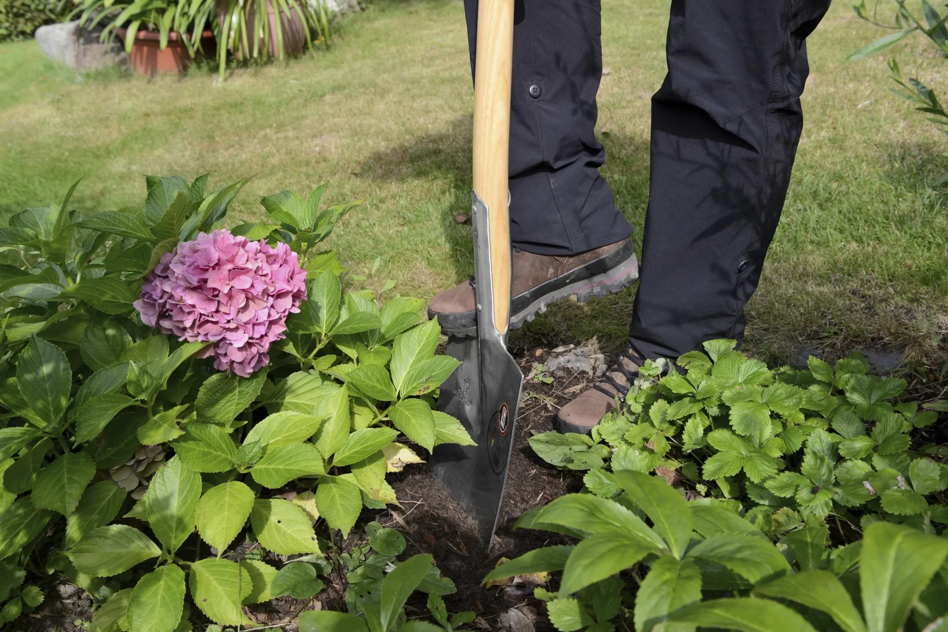 Spaten, Gärtner Form, Gr. 2, poliert, Eschen-T-Stiel 85 cm - 2