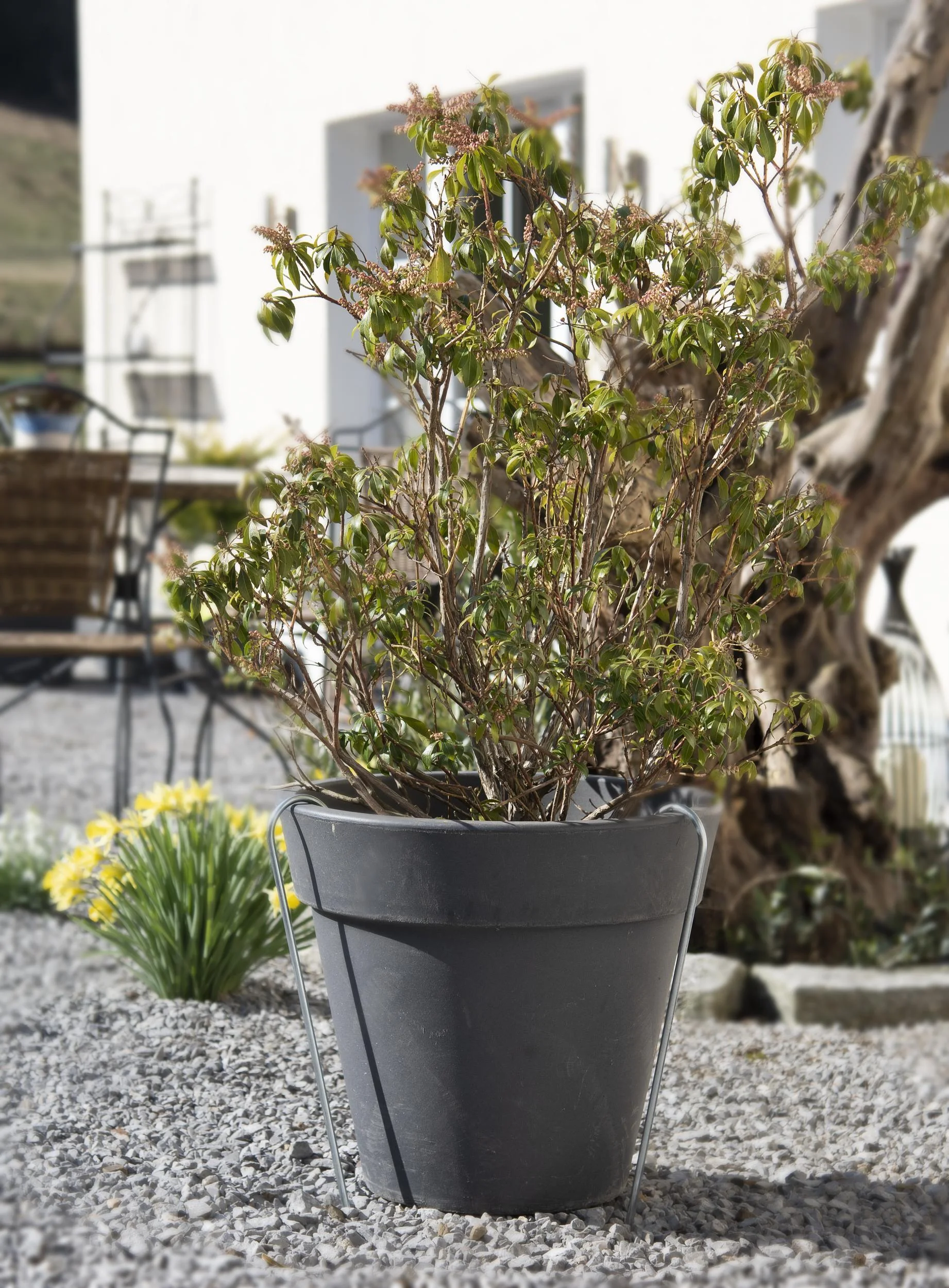 Bodenanker XL Metall 50 cm - 0