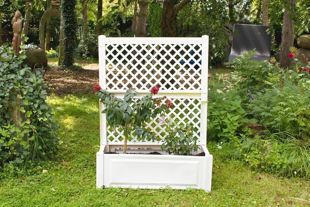 Pflanzkasten 100 cm + Spalier, weiß