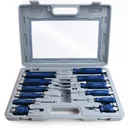 12-teiliger Spezial-Schraubendreher-Satz aus Chrom-Vanadium-Stahl