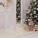 Rentier mit Schlitten Weihnachtsbeleuchtung 160 LED Figur Leuchtfigur