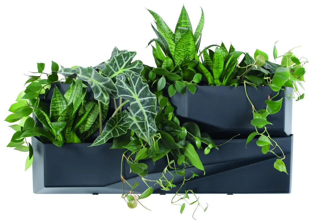 Pflanzkasten Cascaden, anthrazit