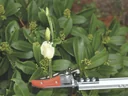 Spezialschere "Rosenkavalier" + Rosen-Wunderschere + eversharp 5in1 Multifunktionspray, 400 ml