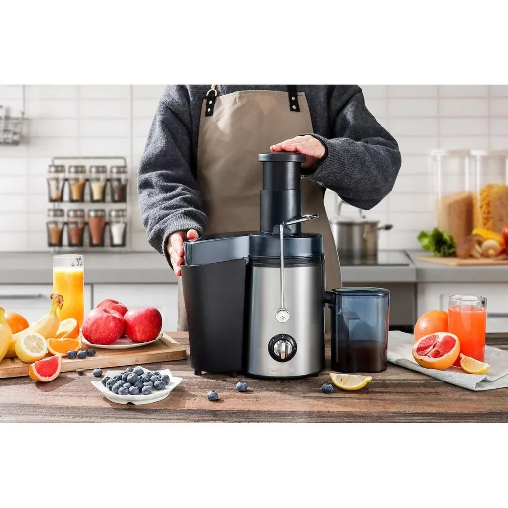 Entsafter - 450W - Edelstahl