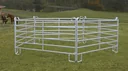 Weidepanel - Zaunelement 3,6 m Länge, 1,7 m Höhe