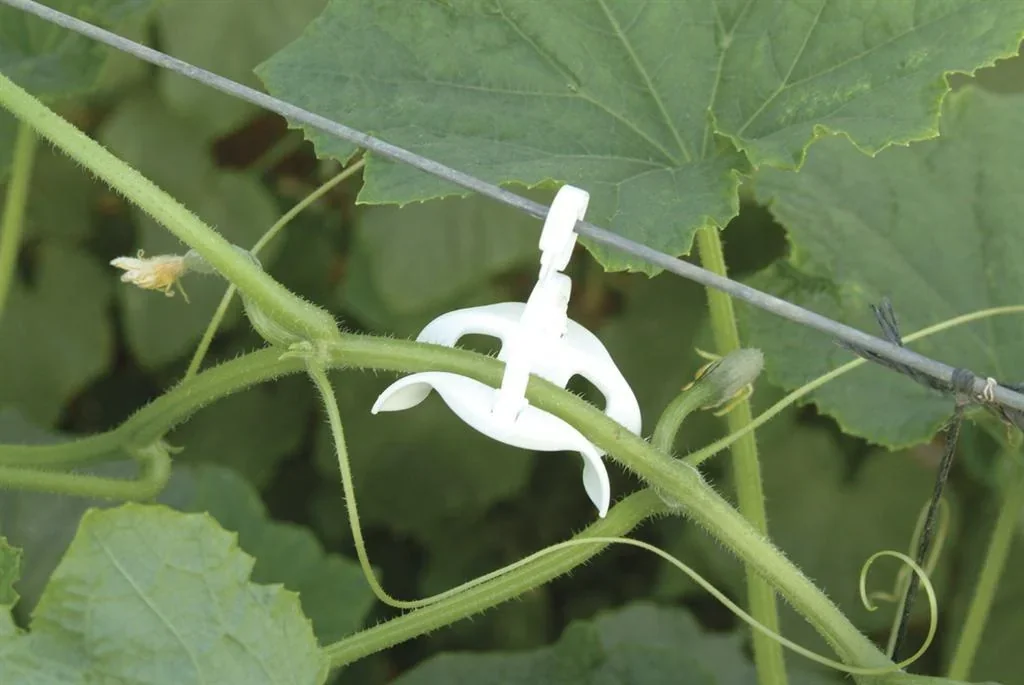 Tomatenrank-Kit für Kunststoff Gewächshäuser