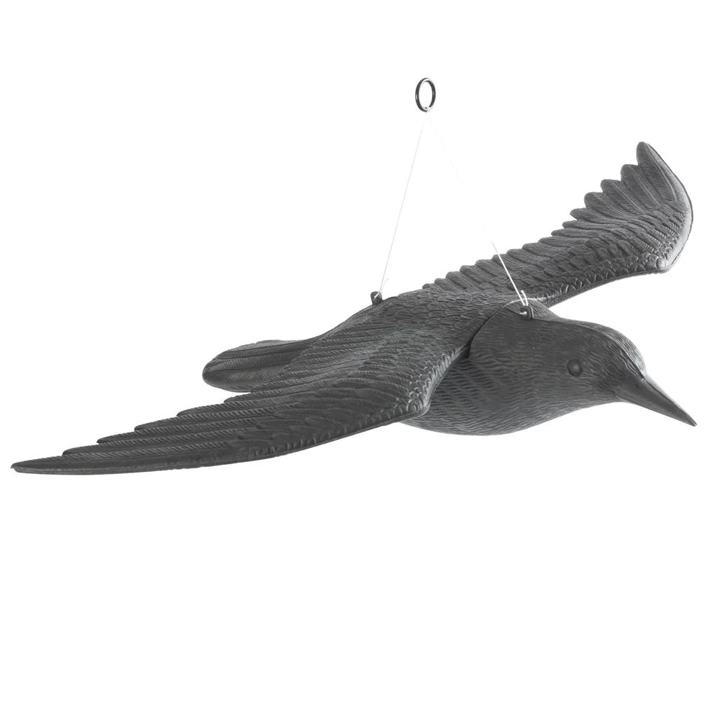 Vogel - Abwehr fliegender Falke