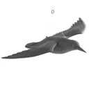 Vogel - Abwehr fliegender Falke