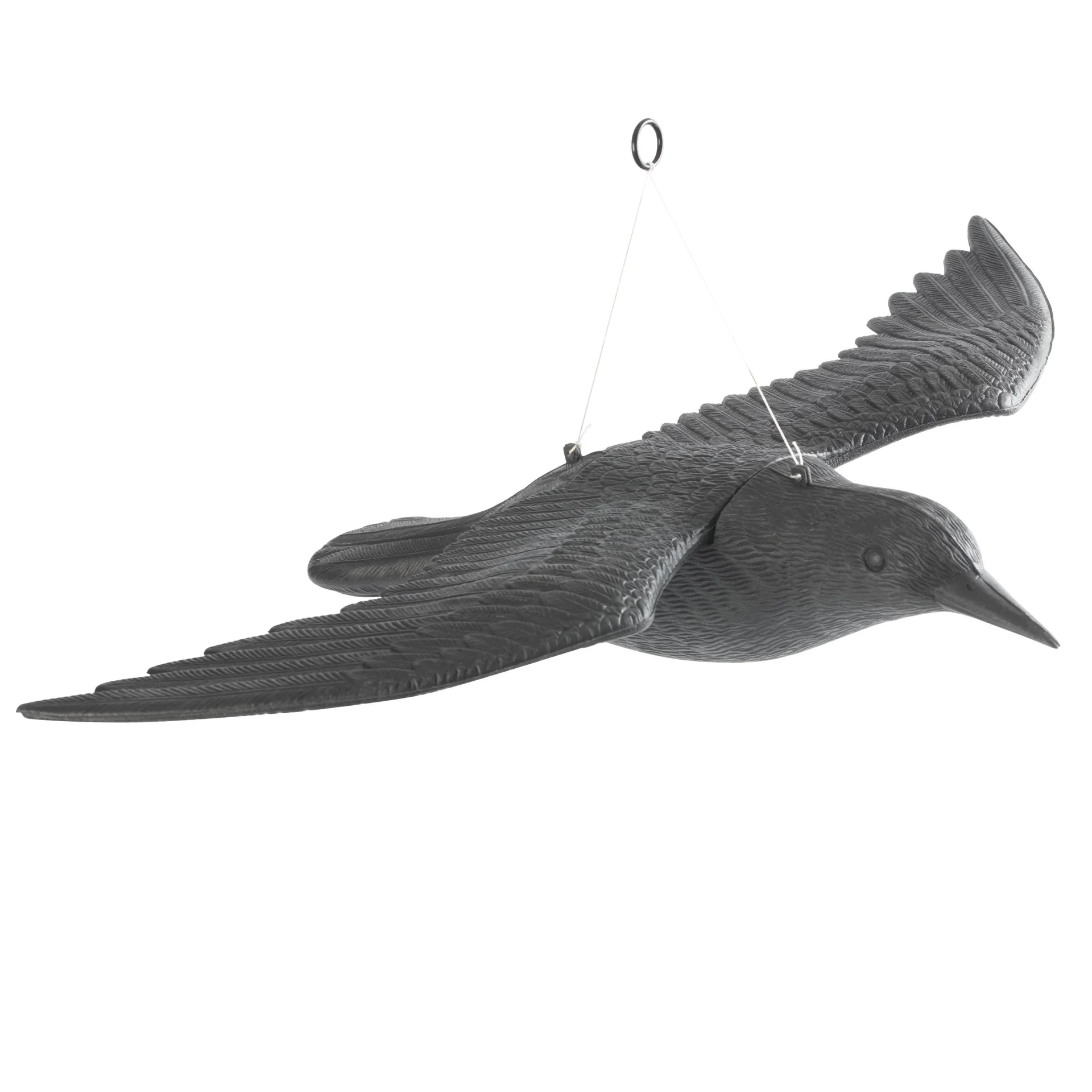 Vogel - Abwehr fliegender Falke