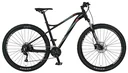 GRAVELER 20.BMM.10 Mountain-Bike 29" Disc | 3x9 Gang