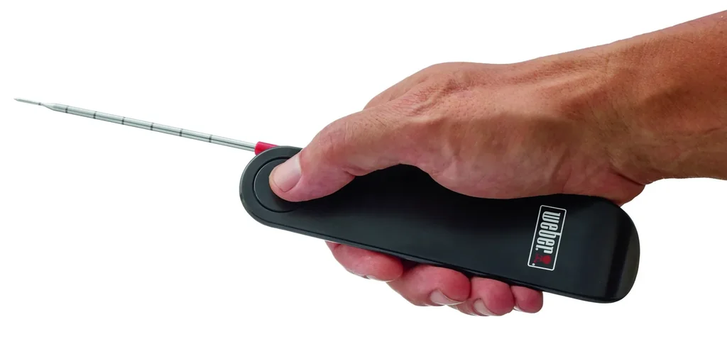 Snapcheck Digitalthermometer