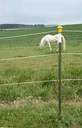 Metallpfahl T-Post, 213 cm, 60 Stück