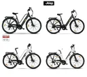 Unisex Trekking E-Bike, 28 Zoll, Rahmengröße 46 cm, 7-Gang Kettenschaltung, white, TLR 7021