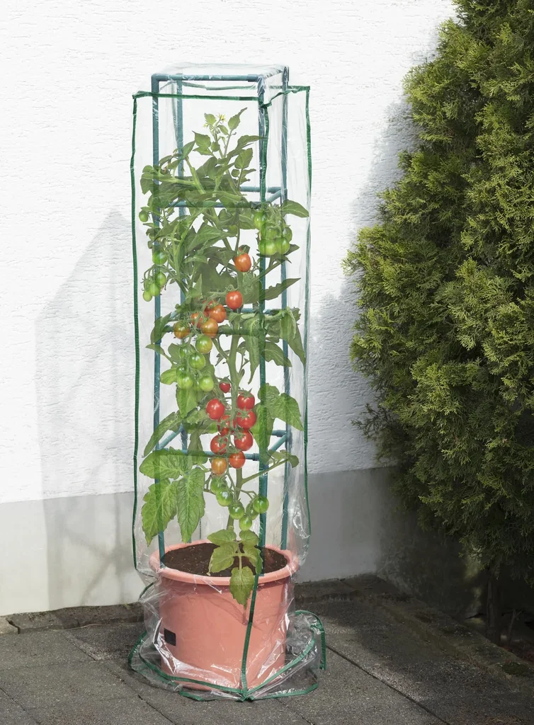 Wachstumshaube/ Hülle/ Abdeckhaube passend für Pflanzenturm "Maxitom" und "Maxitom Jumbo"