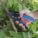 Deluxe Astschere mit Rochettfunktion 20cm