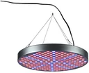 35W Pflanzenlicht LED Leuchte rund