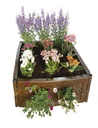 Multifunktions Hochbeet flexibel & erweiterbar 4er Set terracotta