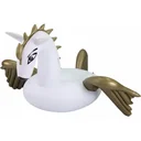 Comfortpool Pegasus