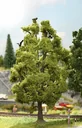 Baum mit Vogelzwitschern