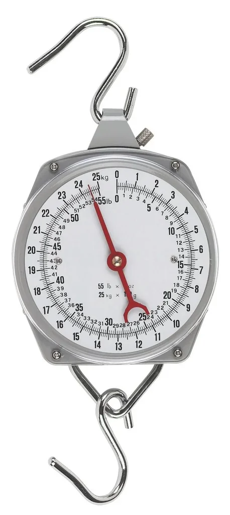 Zeigerschnellwaagen bis 250 kg, Strichunterteilung 1 kg, 1 S-Haken
