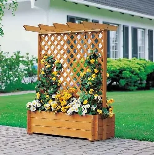 Rankkasten mit Pergola