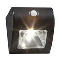 Solar Wand- und Zaunlicht mit Bewegungsmelder