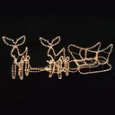 Weihnachtsbeleuchtung 2 Rentiere und Schlitten 300x24x47 cm
