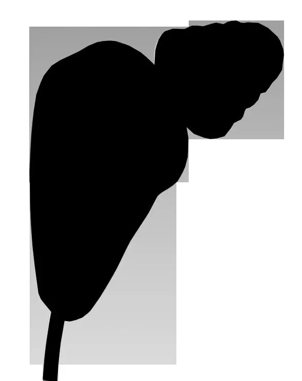 Hörverstärker "Bluelook Stereo", 3in1