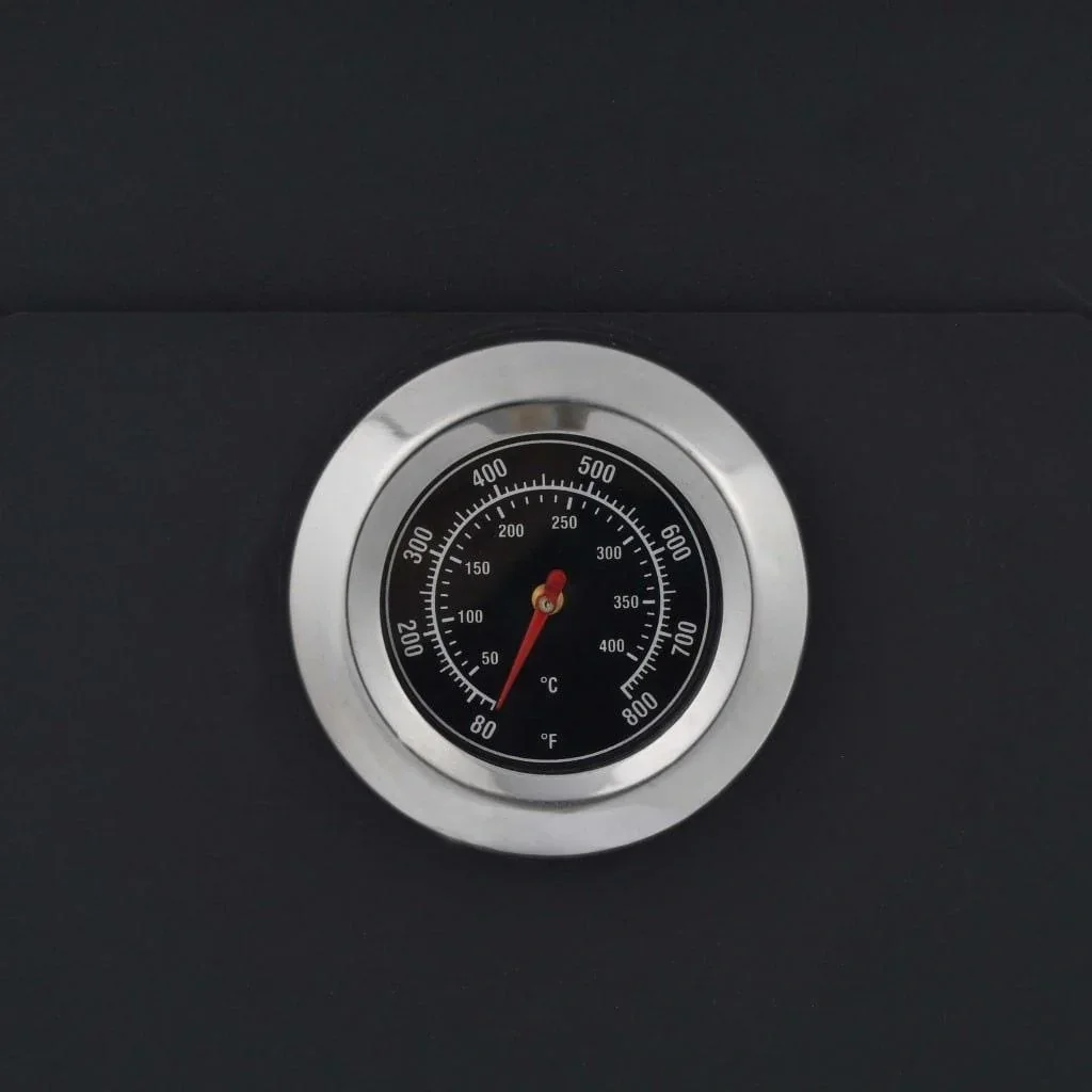 Outdoor-Pizzaofen auf Holzkohle mit 2 Schamottesteinen