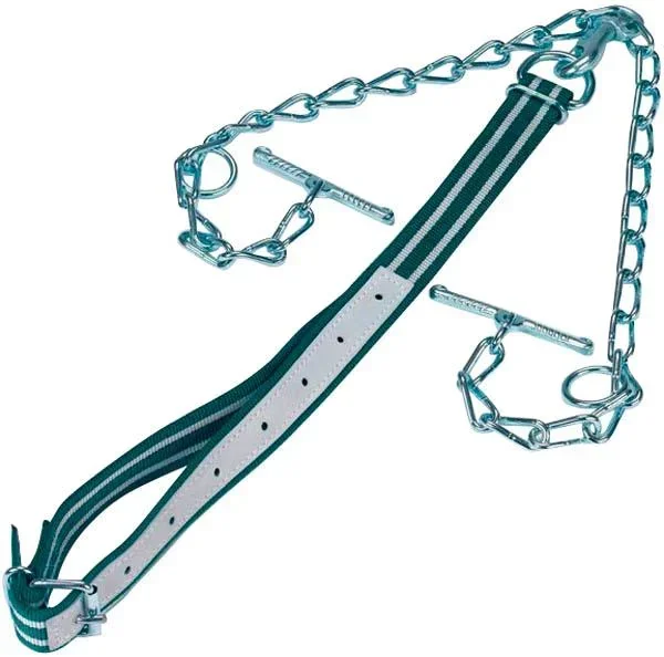 Rinderanbindung, komplett mit Halsband und Kette